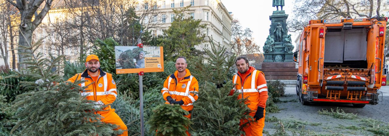 Božićno drvce moguće je odložiti na gotovo 600 lokacija