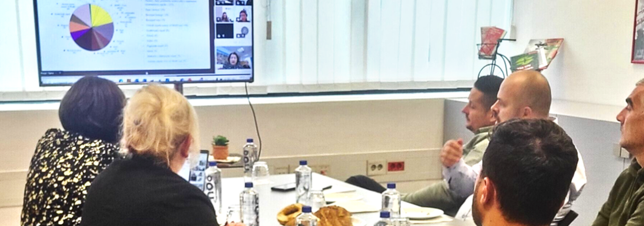 Učesnici hibridne radionice