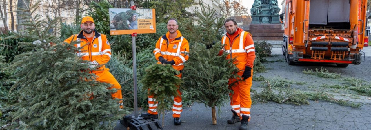 Tokom prošle godine prikupljeno je oko 142.000 jelki